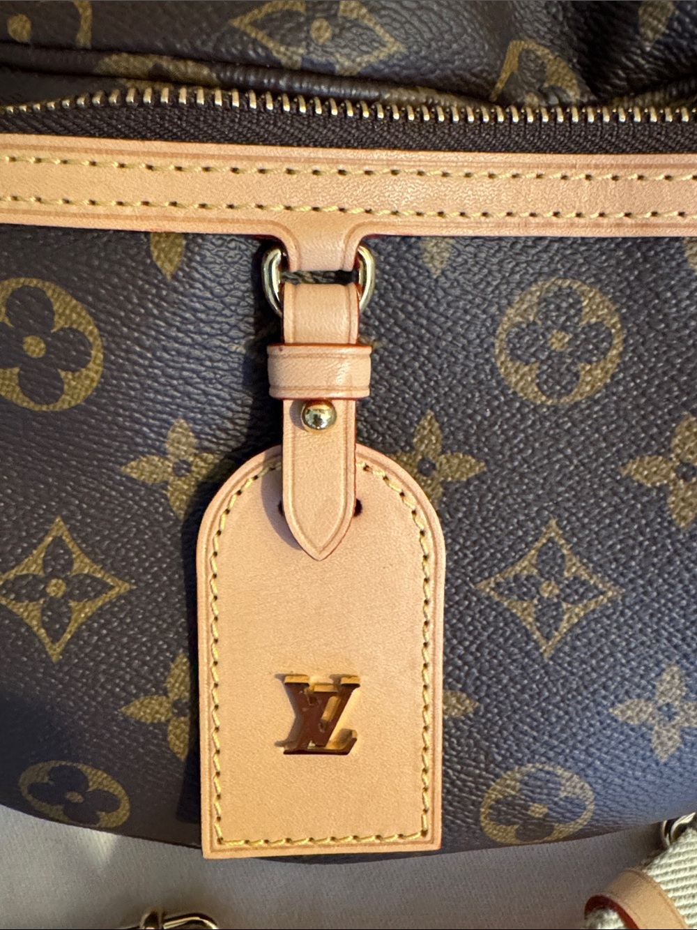LOUIS VUITTON Monogram High Rise Bumbag - Picture 9 of 12